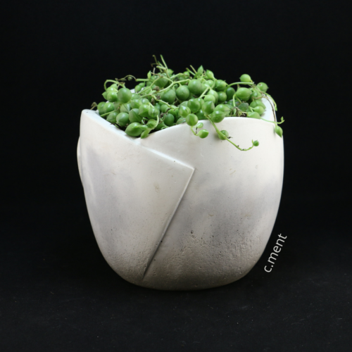 Tulip (tall)