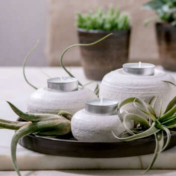 Candles & Holders