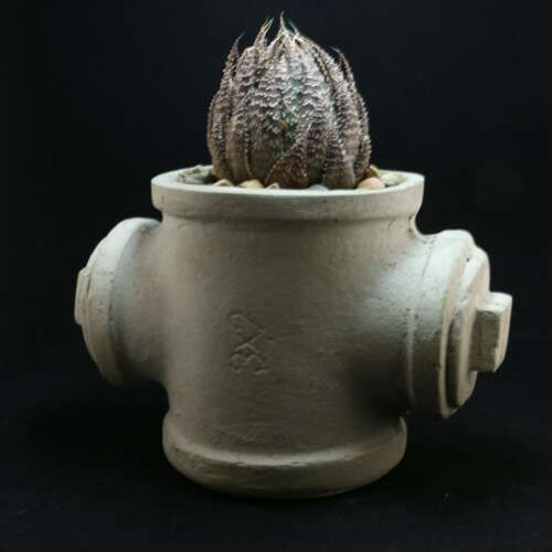 Fire Hydrant