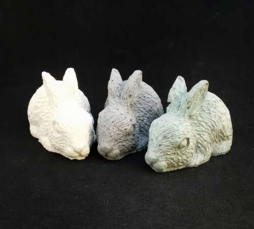 Miniature Rabbit (crawling)
