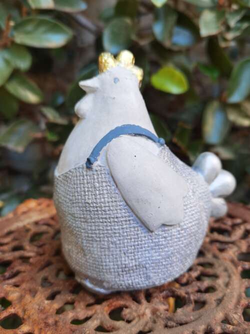 Chicken with Pants
