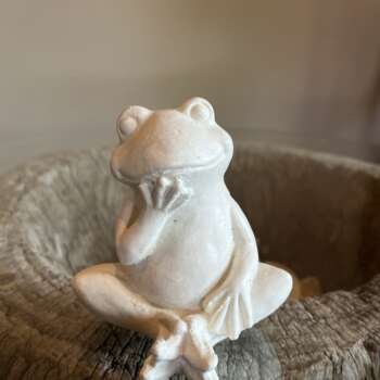 Frog - sitting