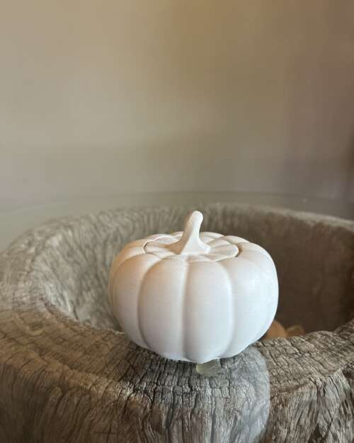 Pumpkin with lid