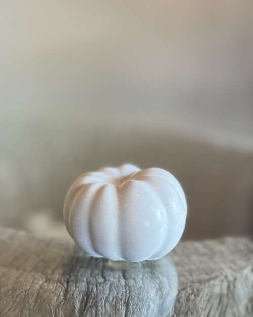 Pumpkin miniature ‘baby boo’ without stem