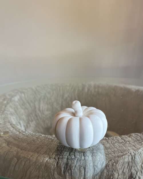 Pumpkin ‘baby boo’ miniature