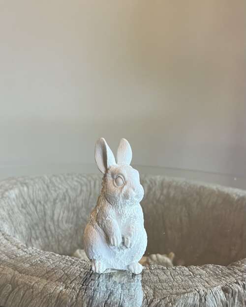 Bunny
